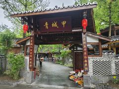 -青城甲(青城山店)