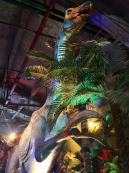 -恐龙探索乐园(磁器口店)