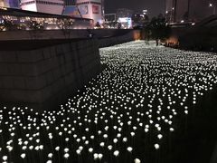 -BHC炸鸡(明洞总店)