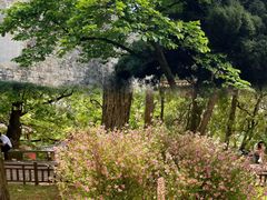 -昆明市金殿名胜区