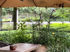 -缘生态云南菜·野生菌庭院餐厅(华侨城店)