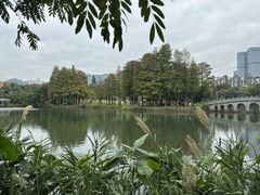 -四海公园(南山区)