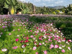 -三亚南山文化旅游区