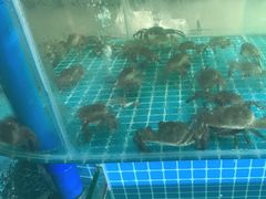 -蓝珊甄选海鲜自助·火锅大排档(近阿那亚店)