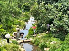 -云溪植物园