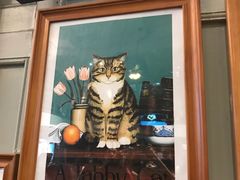 -猫咪博物馆(顶澳仔猫街店)