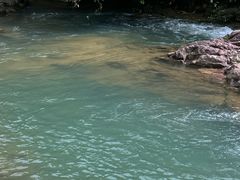 -广州白江湖森林公园