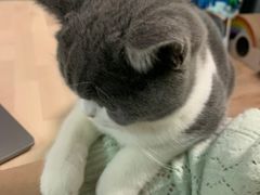 -申普宠物医院·眼科·心内科·影像科(普陀分院)