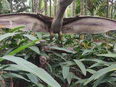 -海南热带野生动植物园