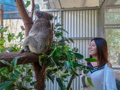 -可伦宾野生动物保护区