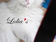 猫-Sirena海妖日咖夜酒