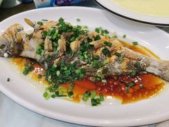 -金海湾海鲜排档(朱家尖店)