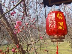-无锡梅园公园