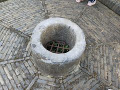 -上海佘山国家森林公园天马山园