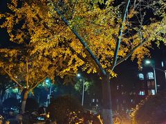 -华东政法大学(松江校区)