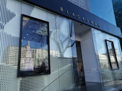 -BLACKSWAN黑天鹅(环球店)
