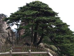 -黄山风景区