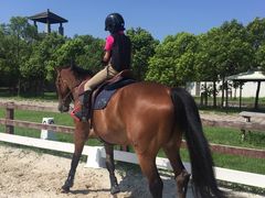 -松声马术俱乐部