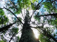 -白草畔自然风景区