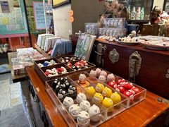 -猫咪博物馆(顶澳仔猫街店)