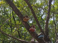-观澜湖生态运动公社