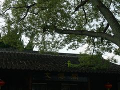 -瀛洲公园