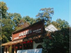 -灵谷景区