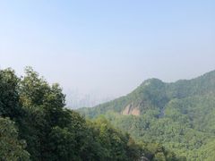 -南山植物园