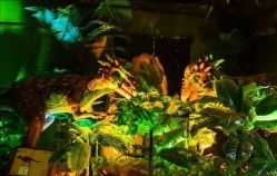 -恐龙探索乐园(磁器口店)