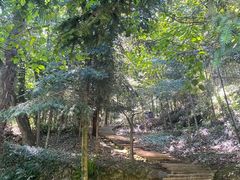 -上海佘山国家森林公园天马山园