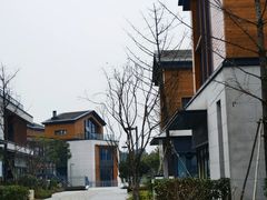 -铁山坪森林公园