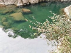 -龙湾潭国家森林公园