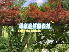-南京市江宁方山