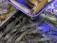 -77号渔船·蒸海鲜青岛菜(积米崖店)