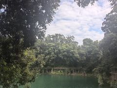 -广州市流溪河国家森林公园