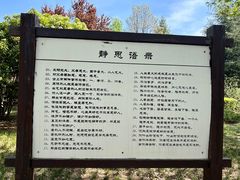 -许慎文化园