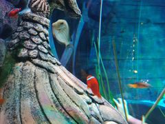 -沈阳海洋探索中心