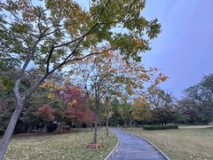 -东湖落雁景区
