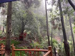 -莫干山风景区