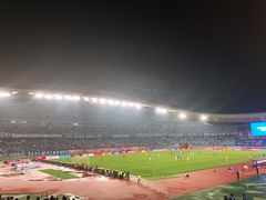 -南京奥林匹克体育中心-体育馆