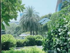 -蛇口希尔顿南海酒店·随轩中餐厅·粤菜