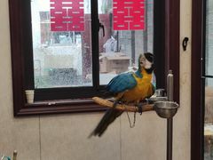 -观桥阁(锦溪店)