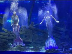 -江和美海洋公园