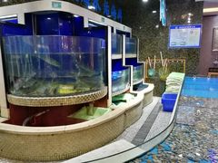 -福泉海码头(六里山店)