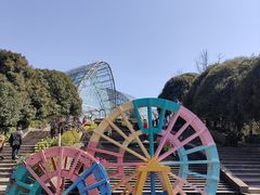 -南山植物园