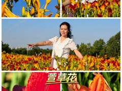 -汉长安城未央宫国家考古遗址公园