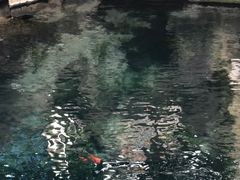 -咱家王新国把子肉(县东巷店)