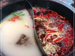 -蜀大侠火锅(森兰花园城店)