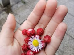 -秦岭终南山世界地质公园翠华山景区