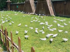 -上海野生动物园